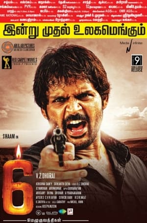 6 Candles (2013) Hindi Dubbed 720p HDRip [950MB] - Movierulz
