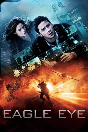 Eagle Eye (2008) Hindi Dual Audio 720p BluRay [1.3GB] ESubs - Movierulz