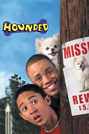 Hounded 2001 Hindi Dual Audio 480p BluRay 310MB - Movierulz