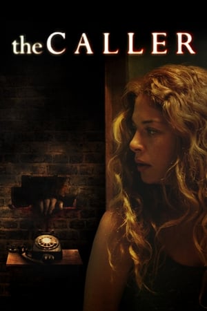 The Caller 2011 Dual Audio Hindi Full Movie 720p BluRay - 1GB - Movierulz